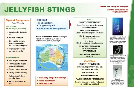 Chart jellyfish